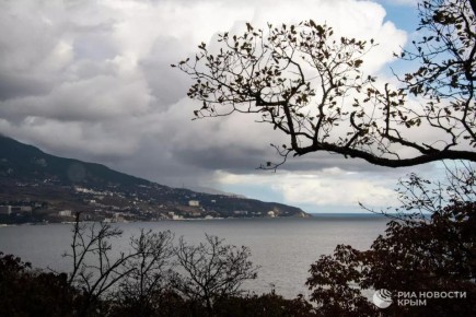 ������� ������ � ����� �� �����������