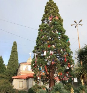 � ����� �������� 13-�������� ��������������