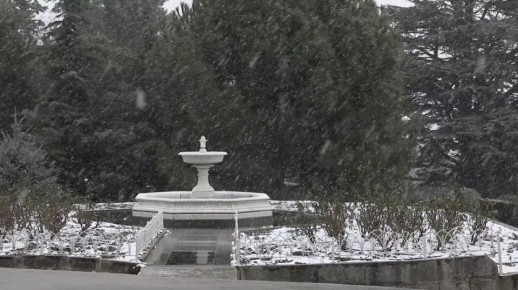 ���� ������� ������� ����� � ������ ������