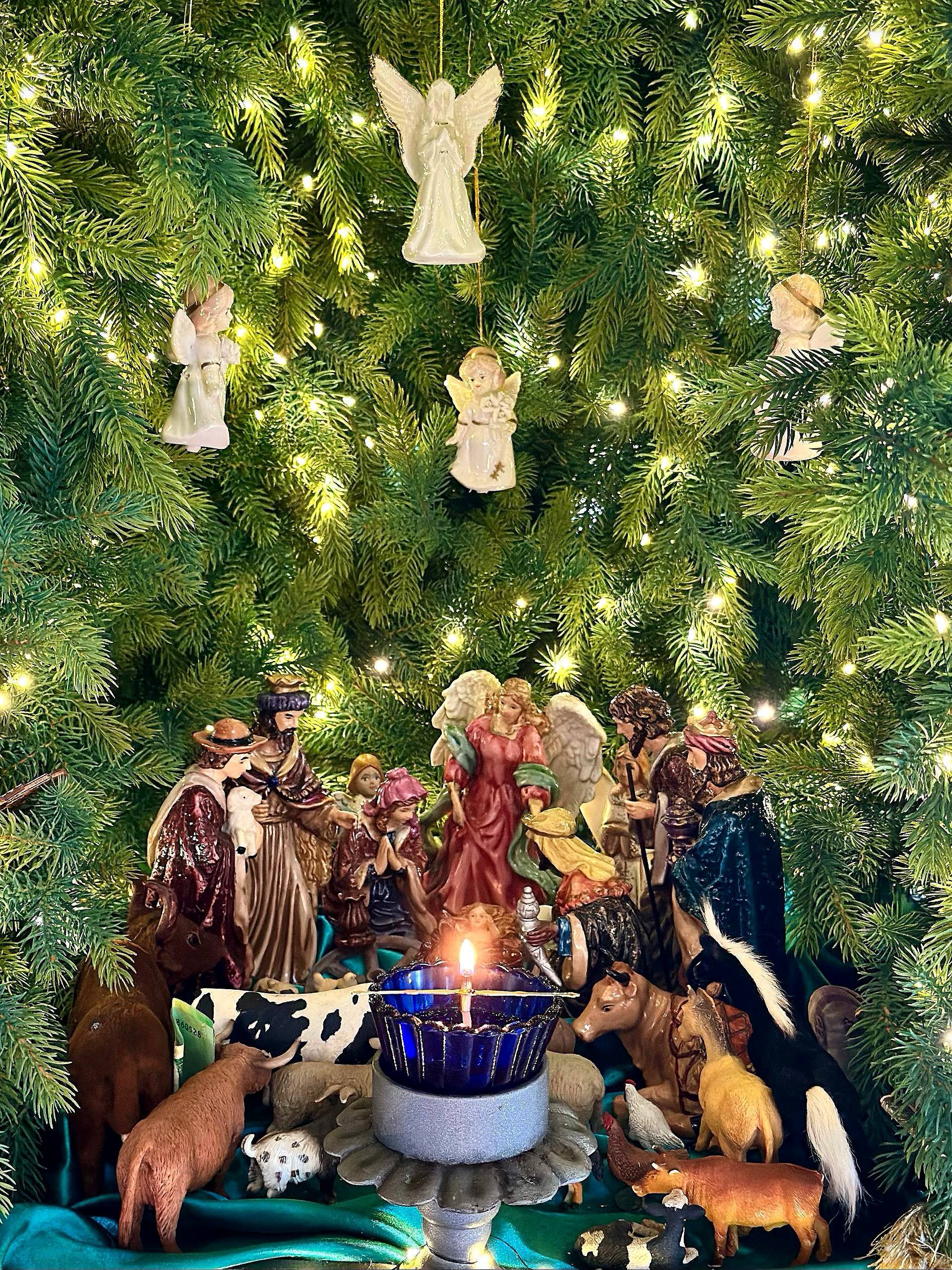 Владимир Немцев: Сегодня мы отмечаем праздник Рождества Христова