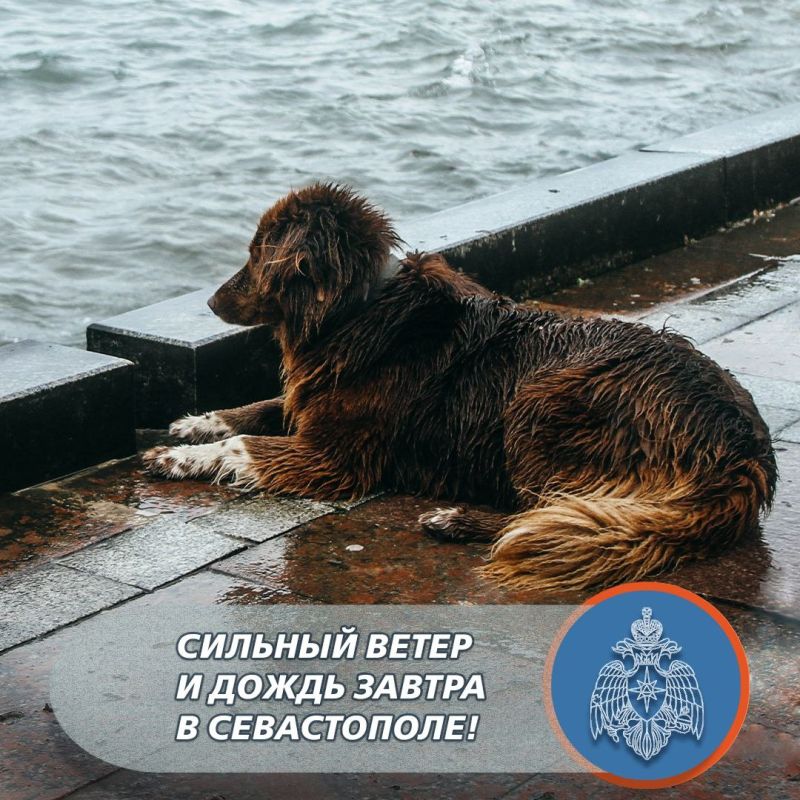 ������� ����� � ����� �������� ����� � ���������� ����!