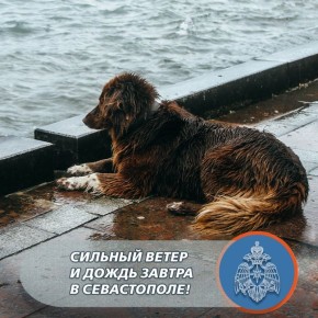 ������� ����� � ����� �������� ����� � ���������� ����!