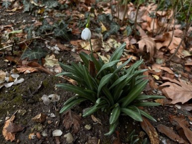 С добрым утром, друзья! Весна?