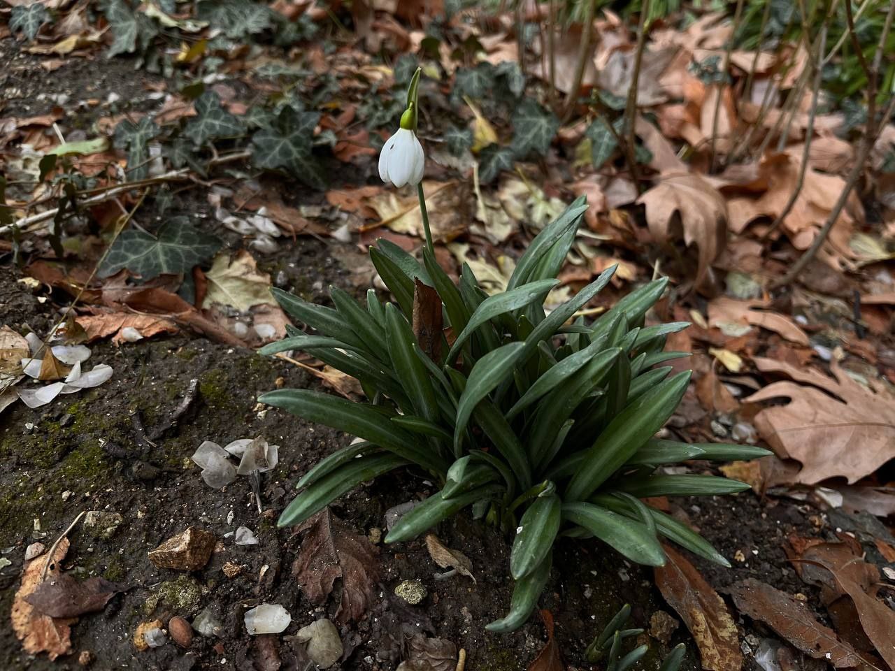 С добрым утром, друзья! Весна?