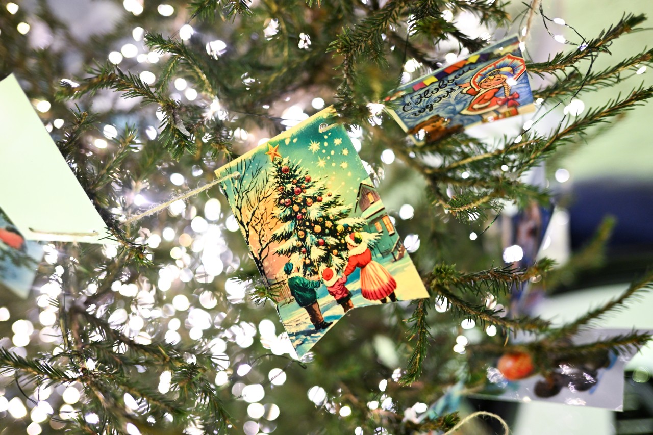 В полиции напомнили о безопасности в праздники