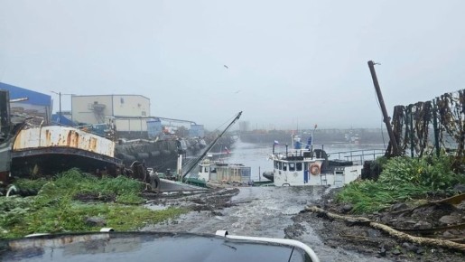 ������ ������ � ���������� �������, ������ ����� � �������� �������, �������� �������� ��-24: ����� ������� ������������ 2025 ����