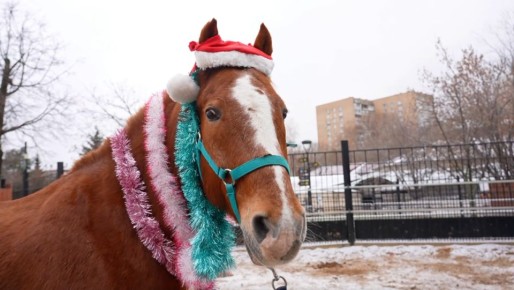 � ���������� �������� �������� ������ ��� �������