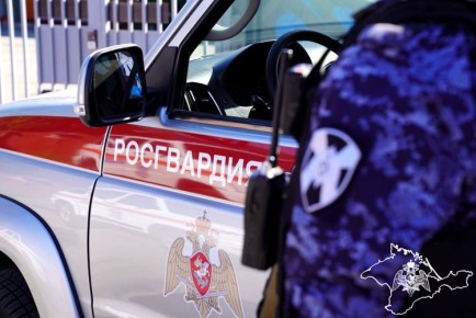 Росгвардейцы в Крыму и Севастополе в период праздничных и выходных дней пресекли ряд правонарушений