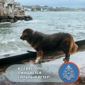 ������� ����� ����� � ����� ������ � �����������!