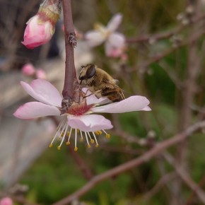 ������� ���������� ����!. � ����������� �����, ���� ��������� ������ (�����, ������ ����, ������� �����)