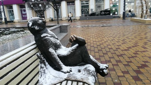 Погода на 10 января 2025 года в Крыму и Севастополе: воздух прогреется до 10 градусов