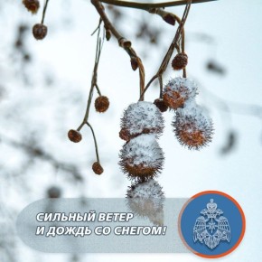 ������� �����, �����, ���� � ���������� ������ � �����������!