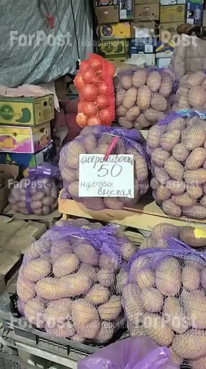 Зашли глянуть посленовогодние цены на рынке "Чайка" в Севастополе