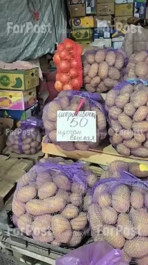 ����� ������� ��������������� ���� �� ����� "�����" � �����������