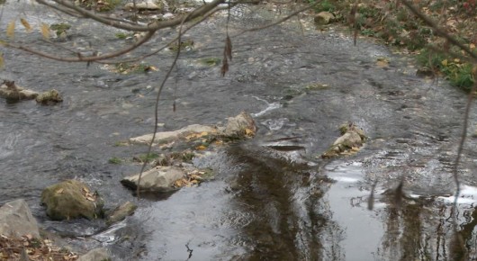 ������� ���� � ����� ����������� �� ������