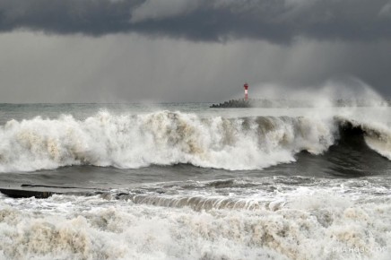 �� ��������� ���� ��������� �����