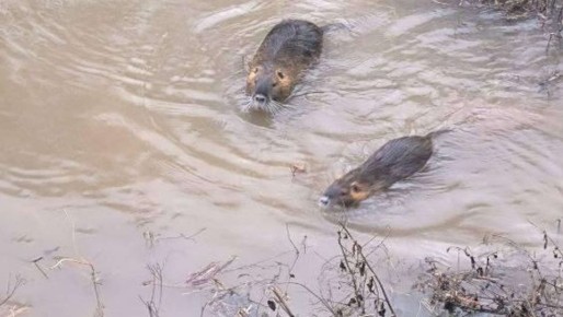 Непогода в Севастополе: как изменился уровень воды в реках