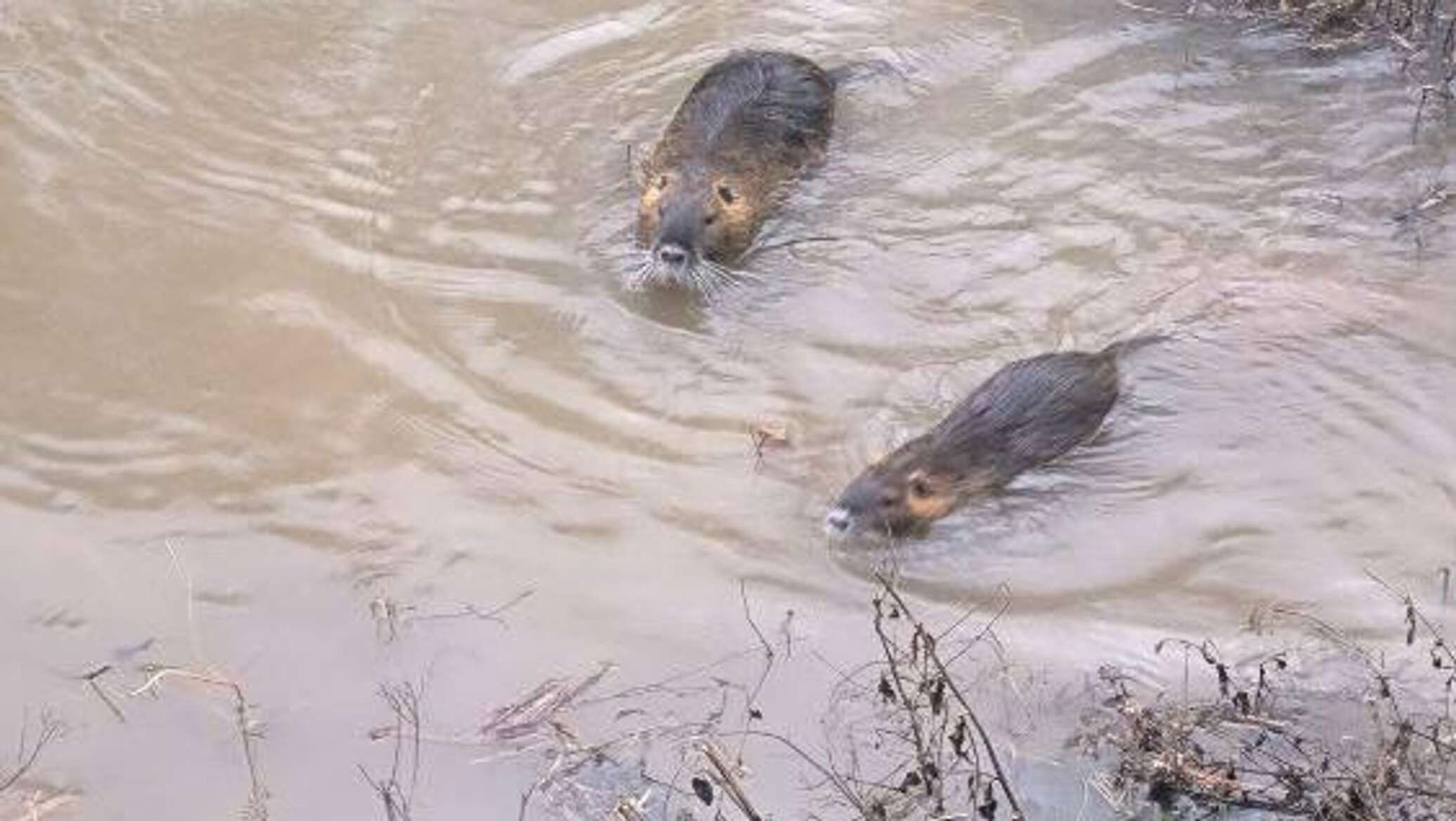 Непогода в Севастополе: как изменился уровень воды в реках