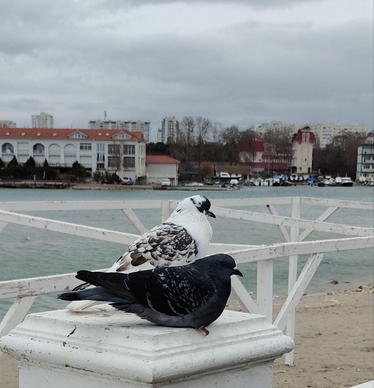 С добрым утром. 11 января днем осадки (дождь, переходящий в снег)