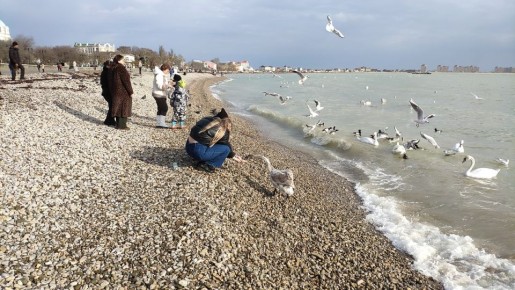 ������ �� 11 ������ 2025 ���� � ����� � �����������: ������ ���������� �� 8 ��������