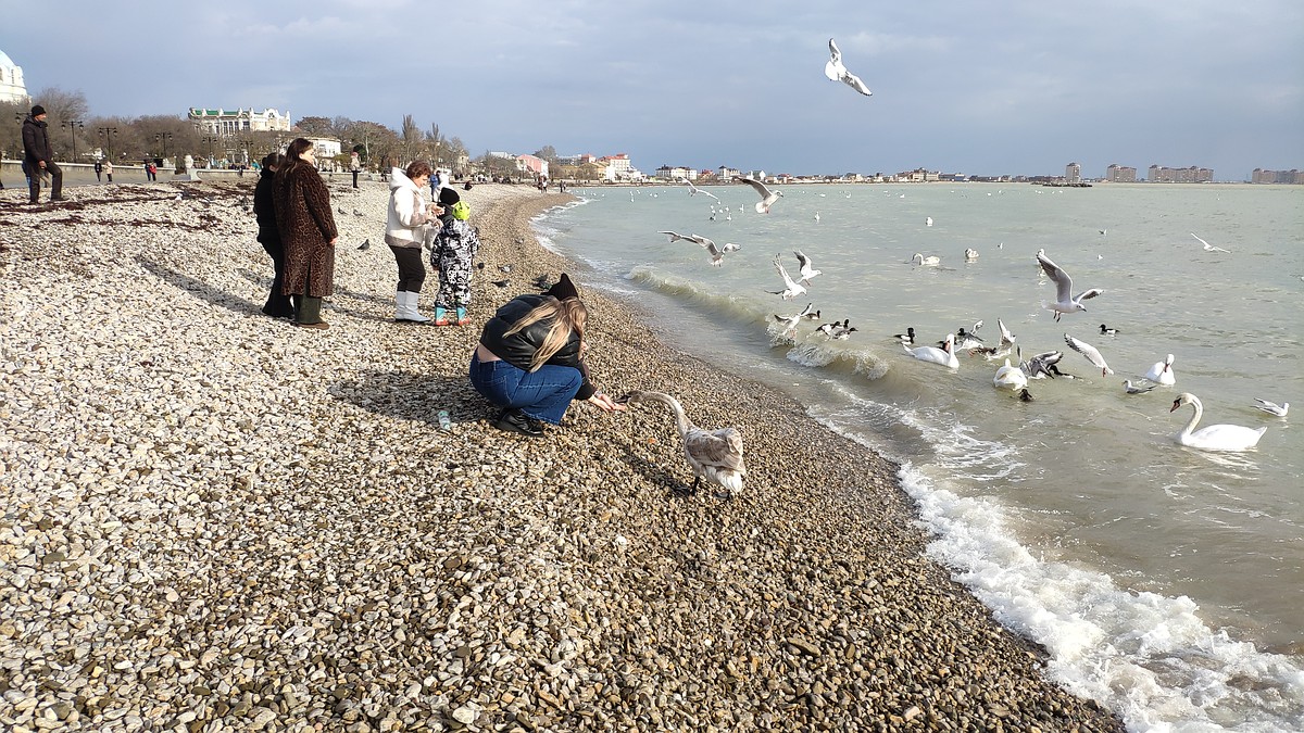Погода на 11 января 2025 года в Крыму и Севастополе: воздух прогреется до 8 градусов