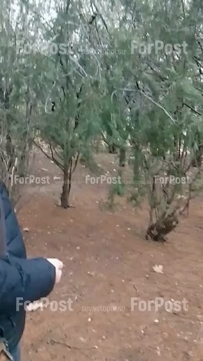 ������ ��� �� �����: ����� ������ ������� � ����� ������