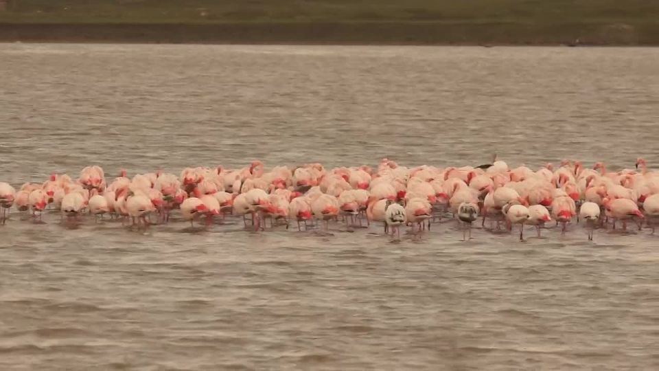 �� ����� �������� � ����� �������� ����� 150 ������� ��������