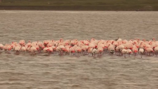 �� ����� �������� � ����� �������� ����� 150 ������� ��������