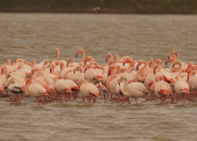 ���� �� 150 �������� ��������� � ���� �������� �� �����