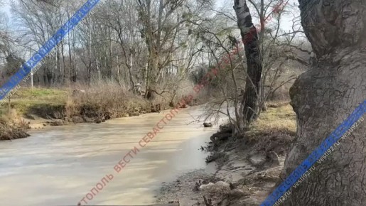 ���� ������� �������. ������� ���� ����� �� ��������� �����