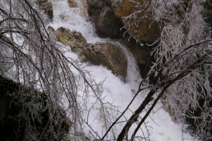 �������� ������ ��������� ������������� ����