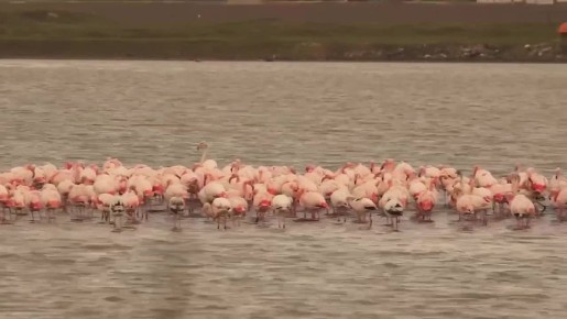 ������� �������: � ����� �������� ������� ���� ��������