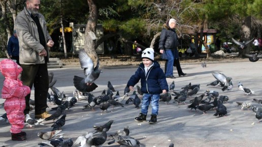 �������� � ������ � ������ ���� � ���� � �����������