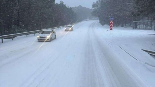 ����� ����� ����� �������� ������ - �������� �� �������