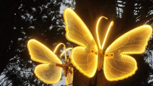 �������� �������� ��������� ��� �������������: � �����������, ���������, ������, ����, �����, �������� � ����������� �������� ���� 14 ������