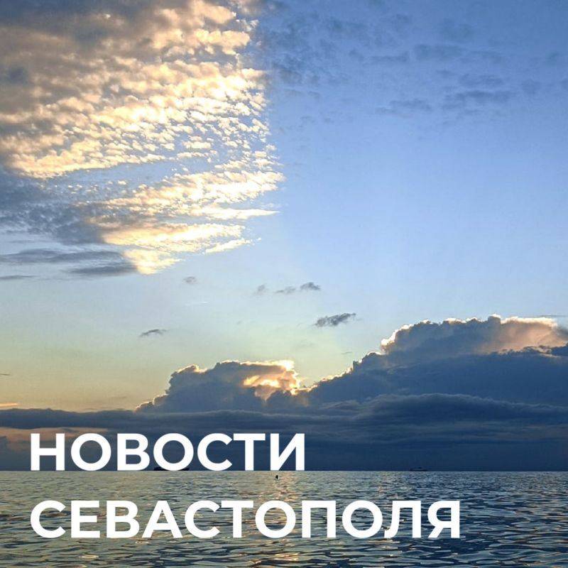 ������ ���������: ����� ��������� ���:. ������������ ������ ����������� ������������� 95 ������������ �� ���������� �������� � ������� 24 ��������