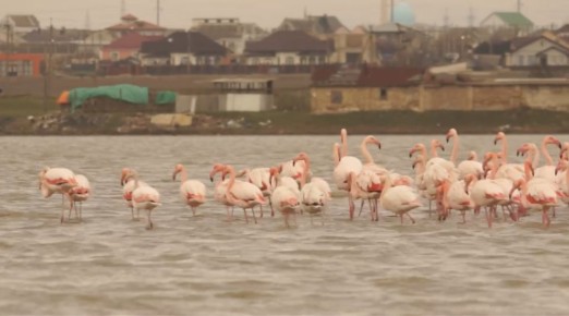 ������ ����: 162 �������� �������� �� ����� � �����