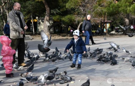 Ялта и Севастополь вошли в топ городов для семейного отдыха с детьми в январе