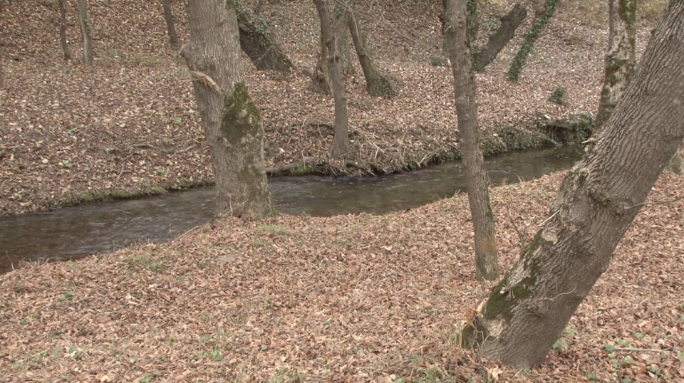 ��� ����������� ������� � ����������� �������