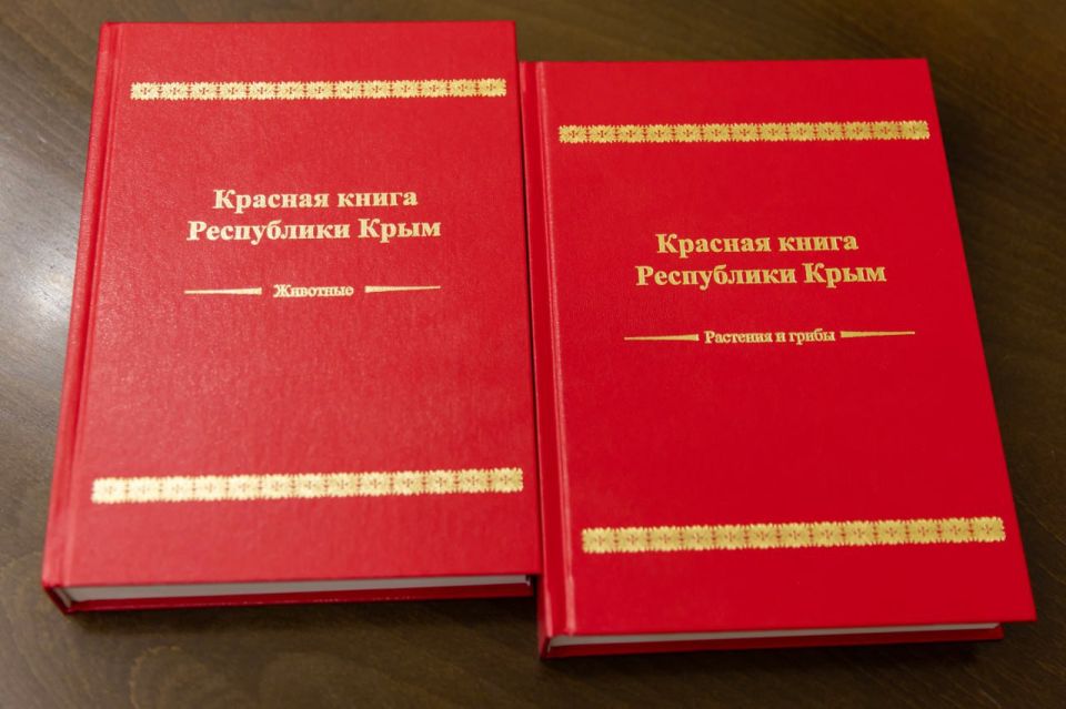 � ����� ��������� ����������� ������ ������� ����� ����������