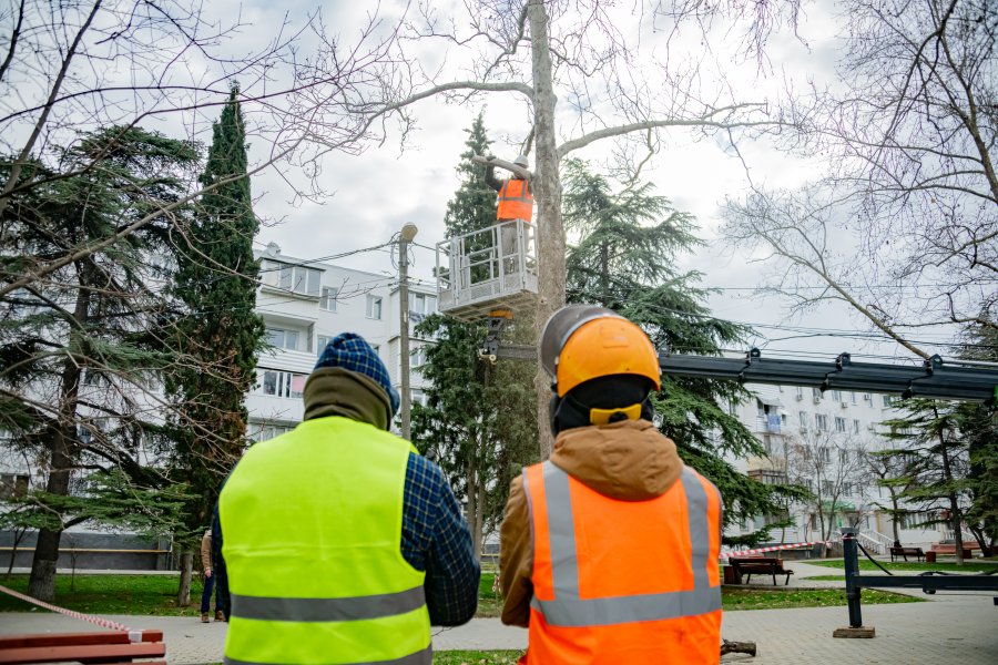 На общественных территориях города убирают опасные деревья и ветви