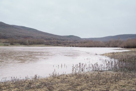 ������� ���������� ��� ��������� �� �������� � ������������