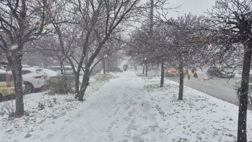 14 и 15 января в Крыму прогнозируют мокрый снег