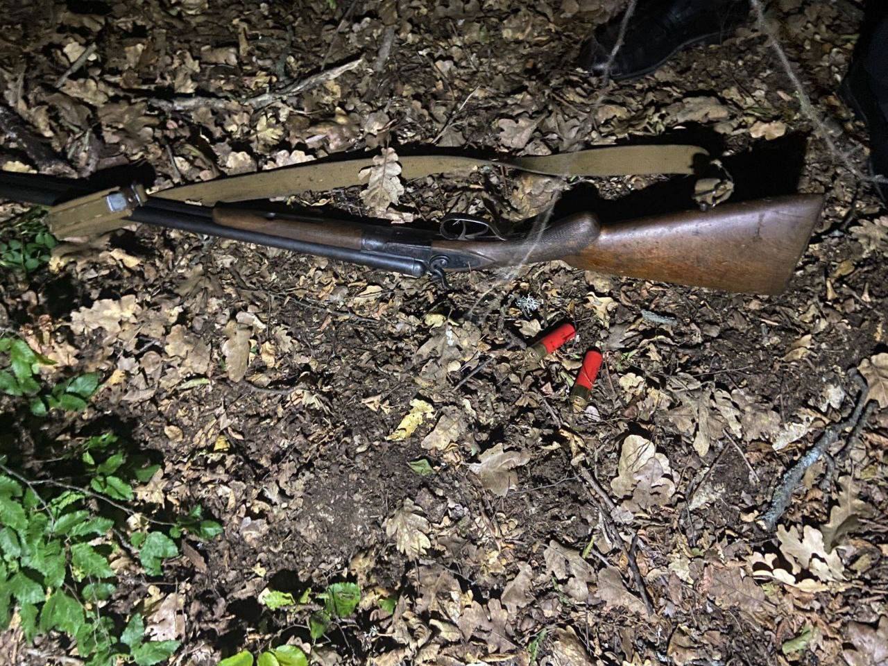 Незаконную охоту пресекли в лесах Севастополя