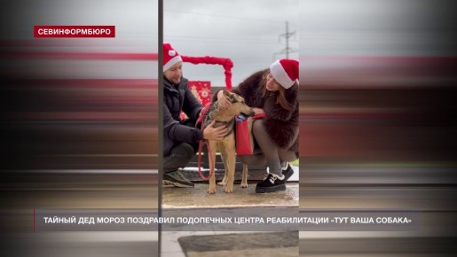 Тайный Дед Мороз поздравил подопечных центра реабилитации «Тут ваша собака»