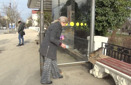 ������������� � ���������: ���� � ��������� ����� ��������� �������