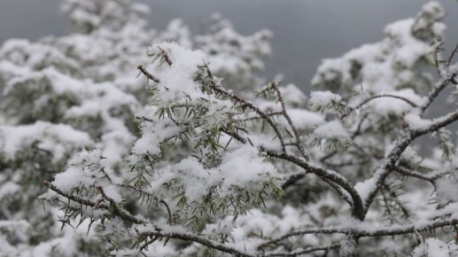 16-19 января на Крым надвигаются снегопады и шторм