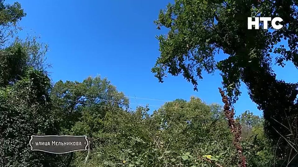 ������� ����������, ��� �� ����������� � ��� ������ ������� ������ ������ � �������� ������ �������������, ��� ����� ��������� � ��� ��� �����