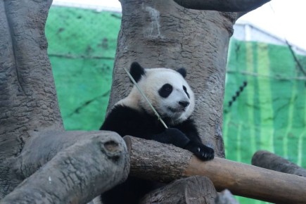 �������� �����: ������ �������� ��������� ��������