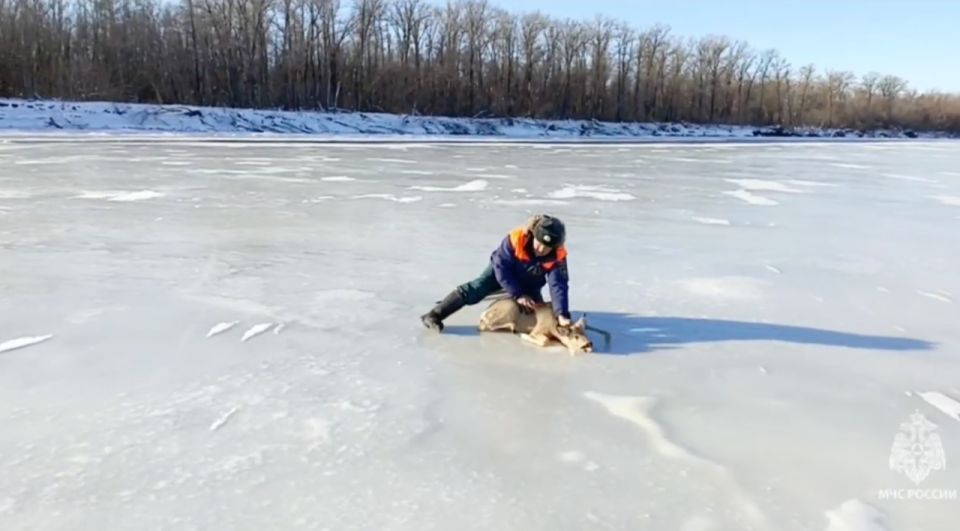 ��� ��������� �� �������� ����� ������ ������